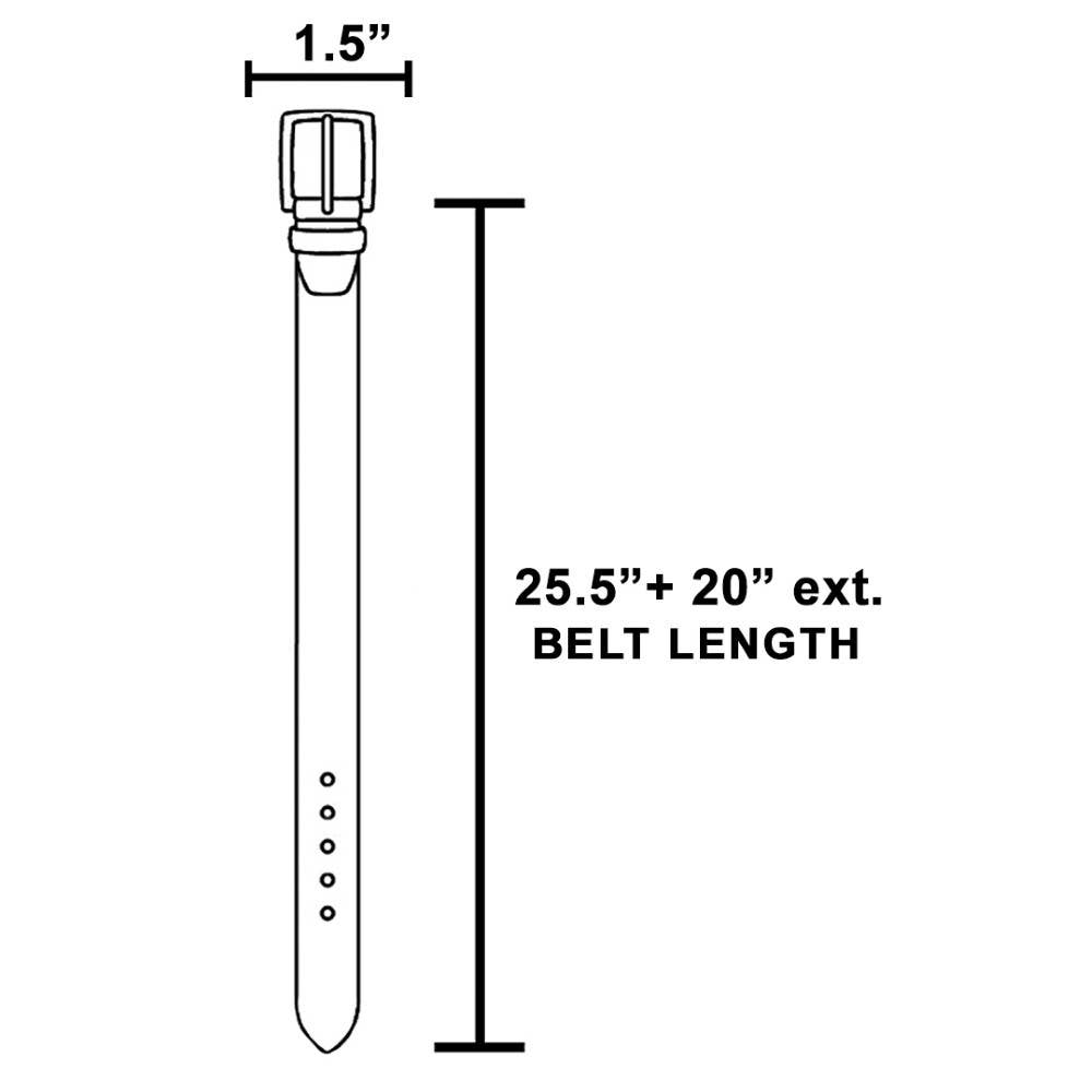 Longhorn Skull & Horse Medallion Chain Belt